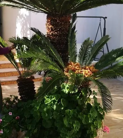 Casa Vacanza Maria 公寓 维耶斯泰